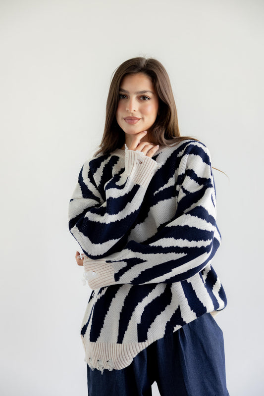 Wild Dreams Knit Sweater - Navy X Biege